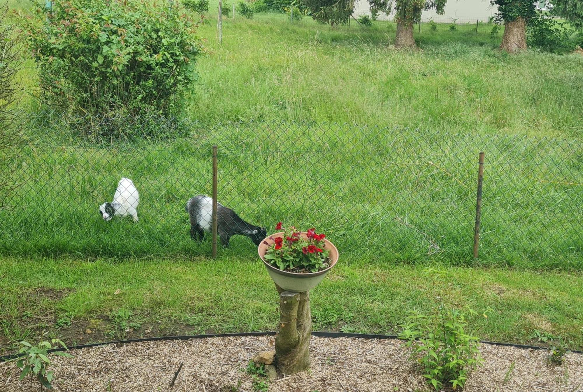 Maison Campagne Detente Thorigné-sur-Dué Exteriér fotografie